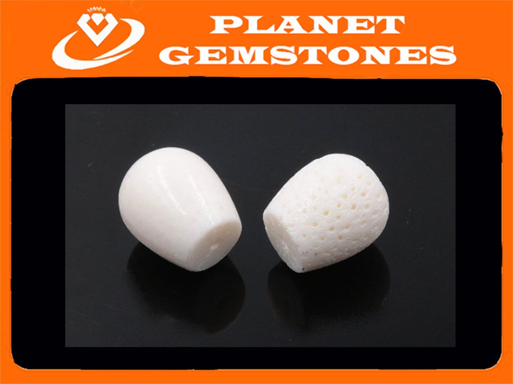 Natural White Coral Beads Sponge Coral Tapered Barrel 15x17mm 2pcs SET DIY Jewelry Supplies beads SKU 00111545-Beads-Planet Gemstones